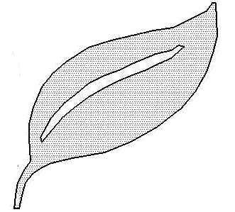 Vgplan